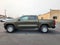2024 Chevrolet Colorado WT